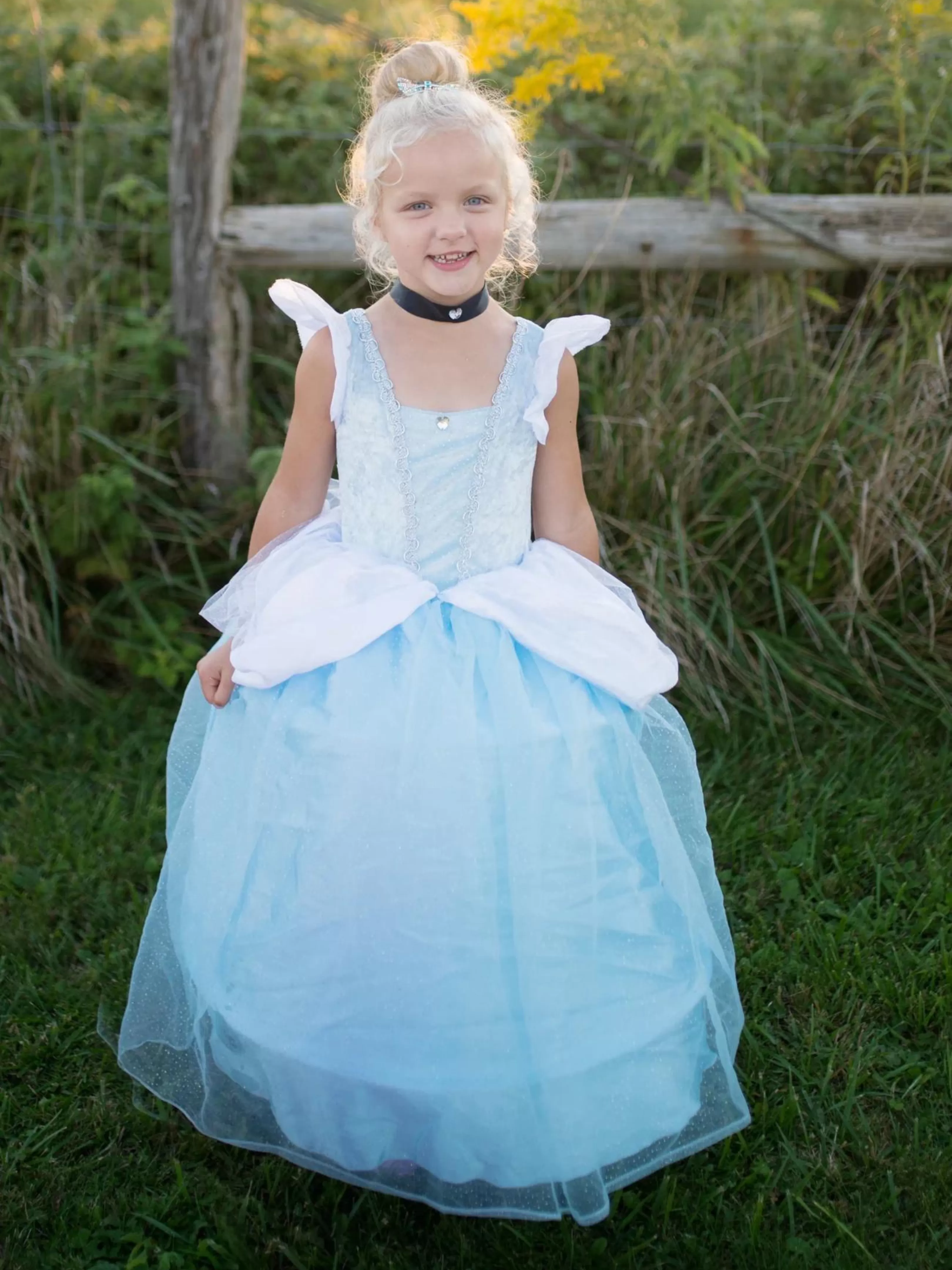 Deluxe Cinderella Gown