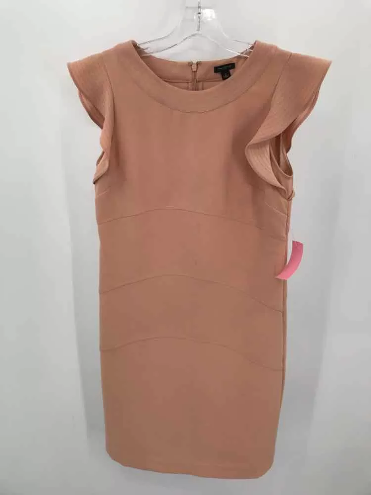 Pre-Owned Ann Taylor Tan Size 2 Knee Length Short Sleeve Dress