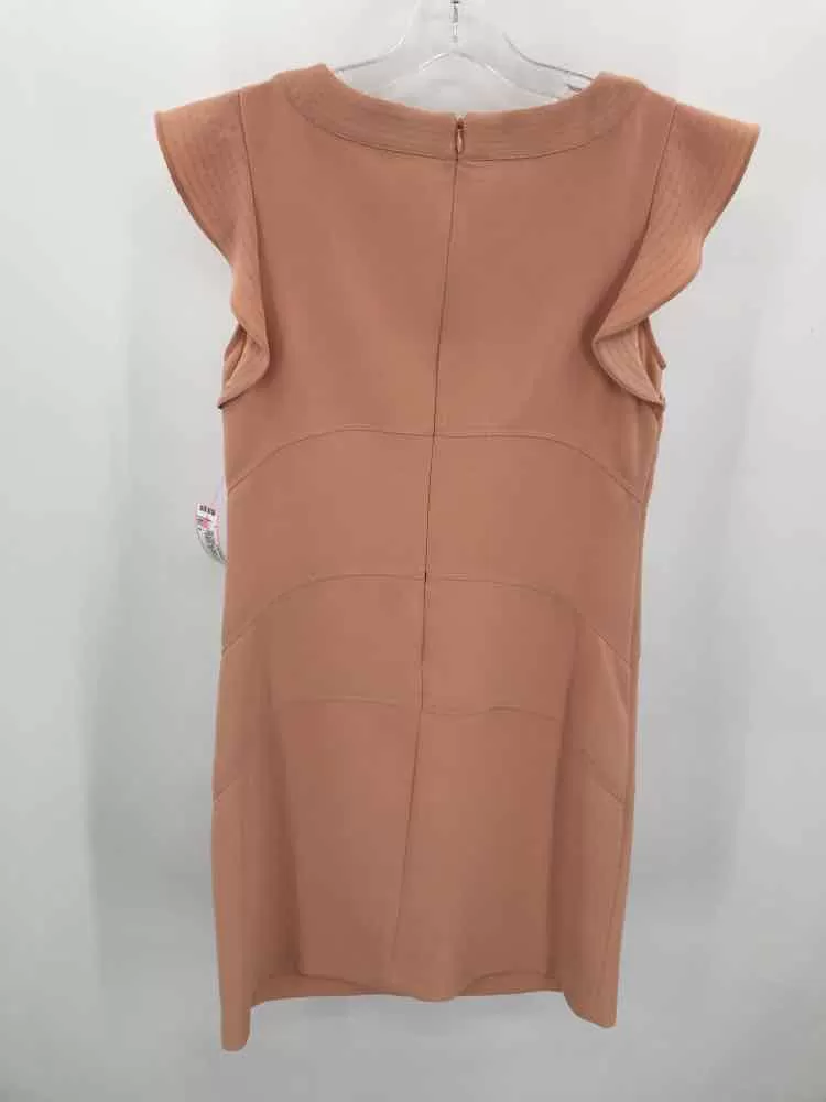 Pre-Owned Ann Taylor Tan Size 2 Knee Length Short Sleeve Dress